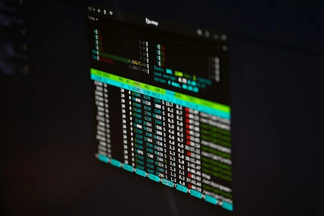 Linux server admin reviewing monthly health check results on secure workstation